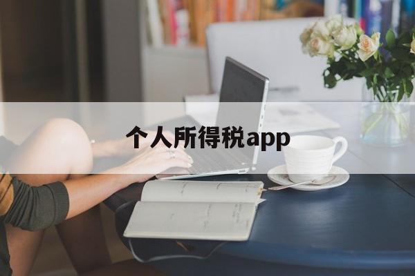 个人所得税app(个人所得税app下载)