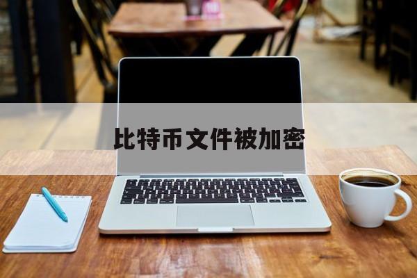 比特币文件被加密(比特币密码wallet文件)